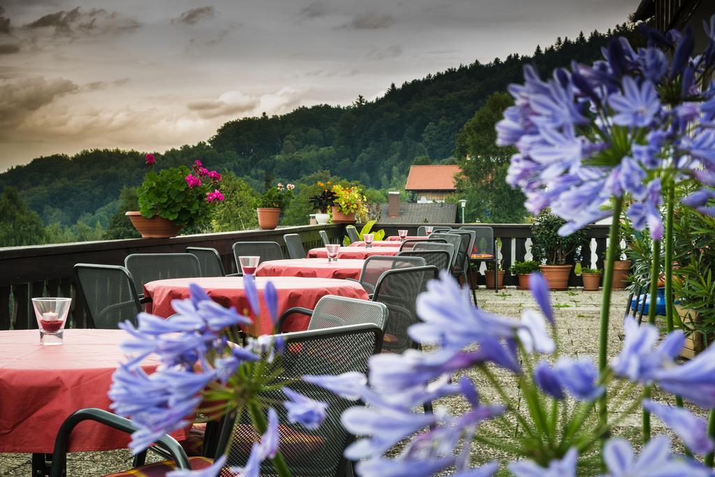 Отель Panorama-landgasthof Ranzinger