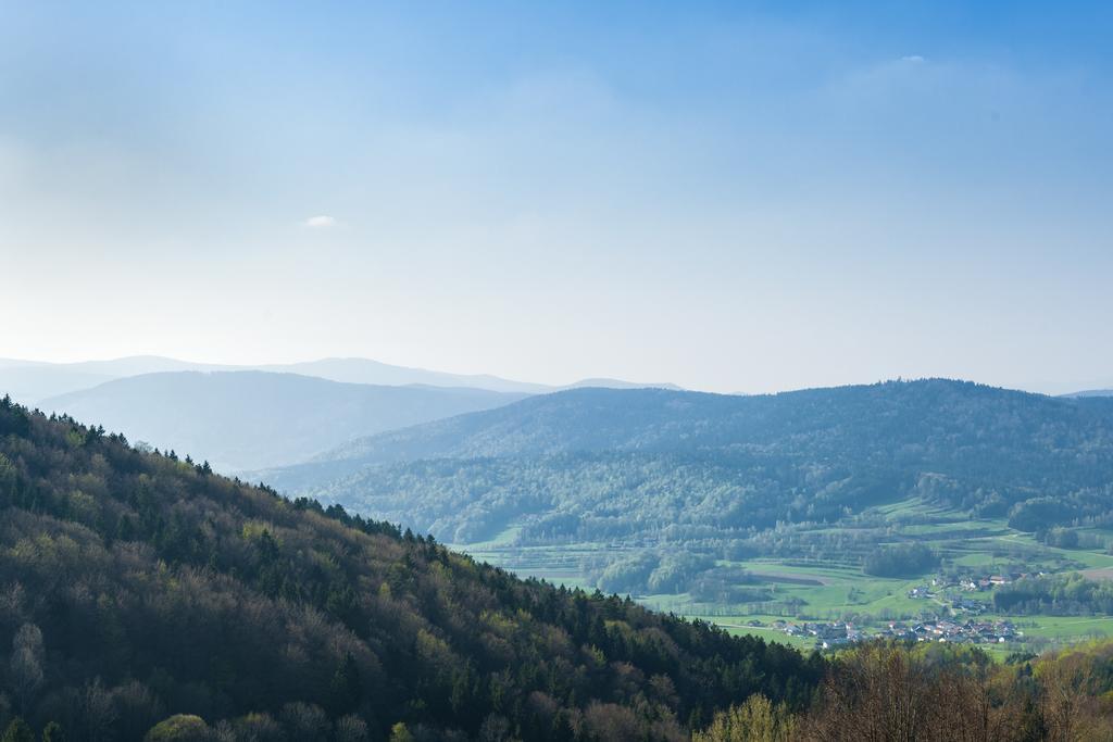 Panorama-landgasthof Ranzinger